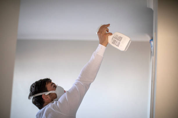 Best Professional Mold Removal  in Wolfhurst, OH