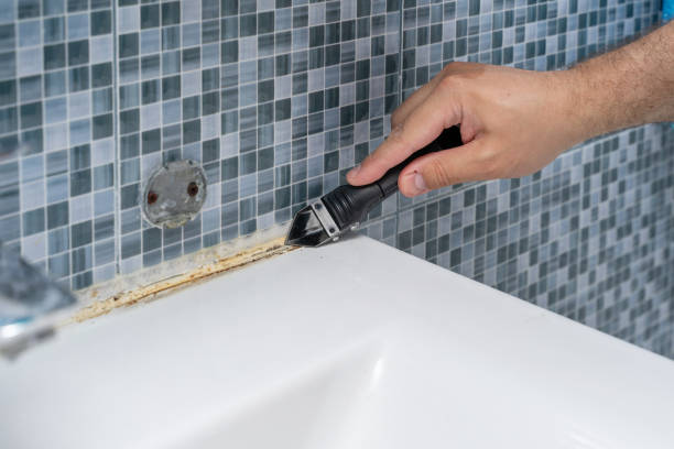 Best Home Mold Removal  in Wolfhurst, OH