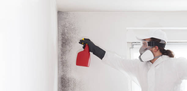 Best Residential Mold Removal  in Wolfhurst, OH