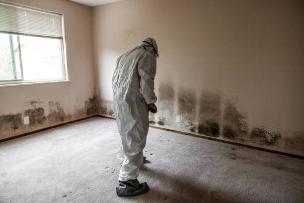 Best Crawl Space Mold Removal  in Wolfhurst, OH